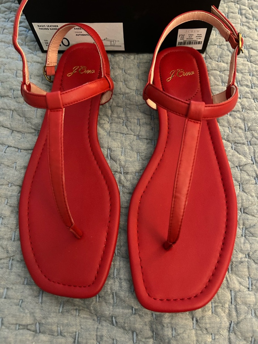 J. Crew Abbie Ankle Strap Thong Sandal in Leather